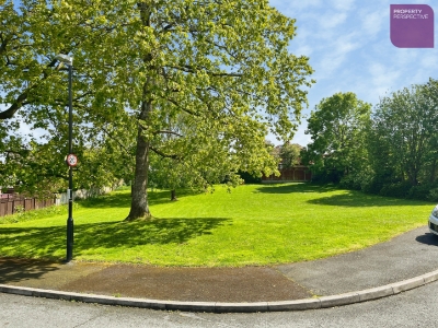 Picture 20